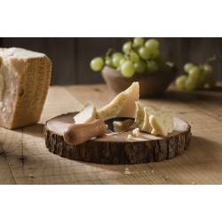 PARMIGIANO REGGIANO BIOLOGICO